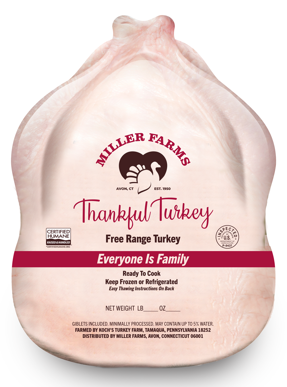 Thankful Turkey